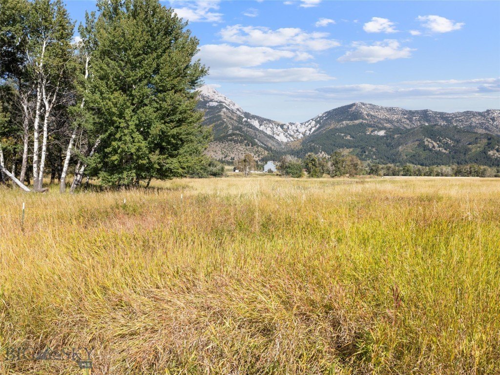 Belgrade, Montana, 59714, United States, ,Land,Forsale,1914999