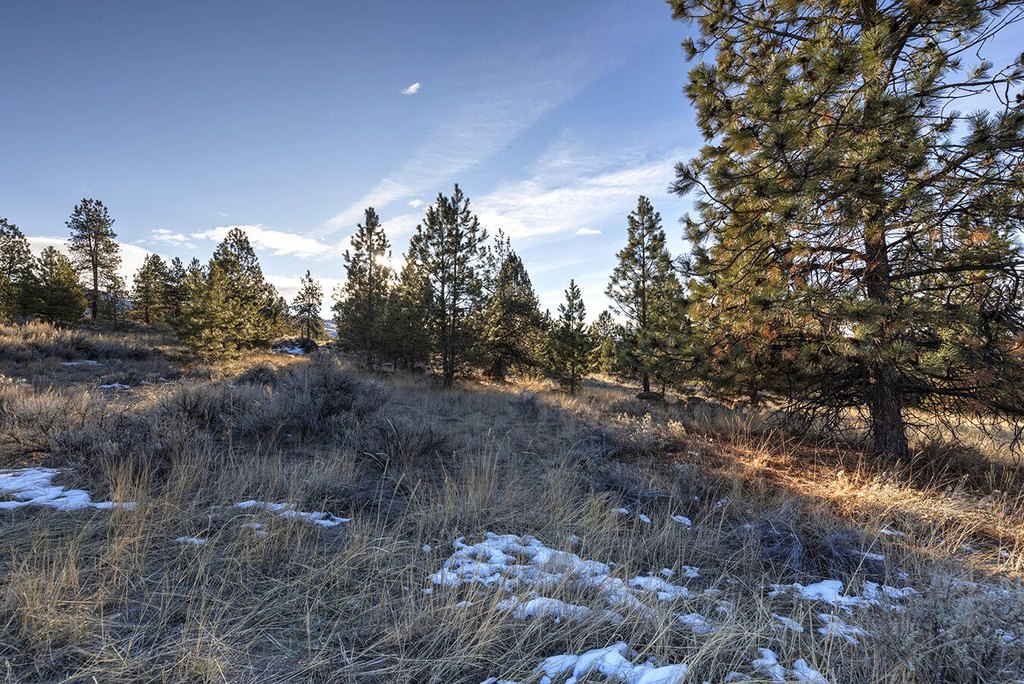 Hamilton, Montana, 59840, United States, ,Land,Forsale,1944331