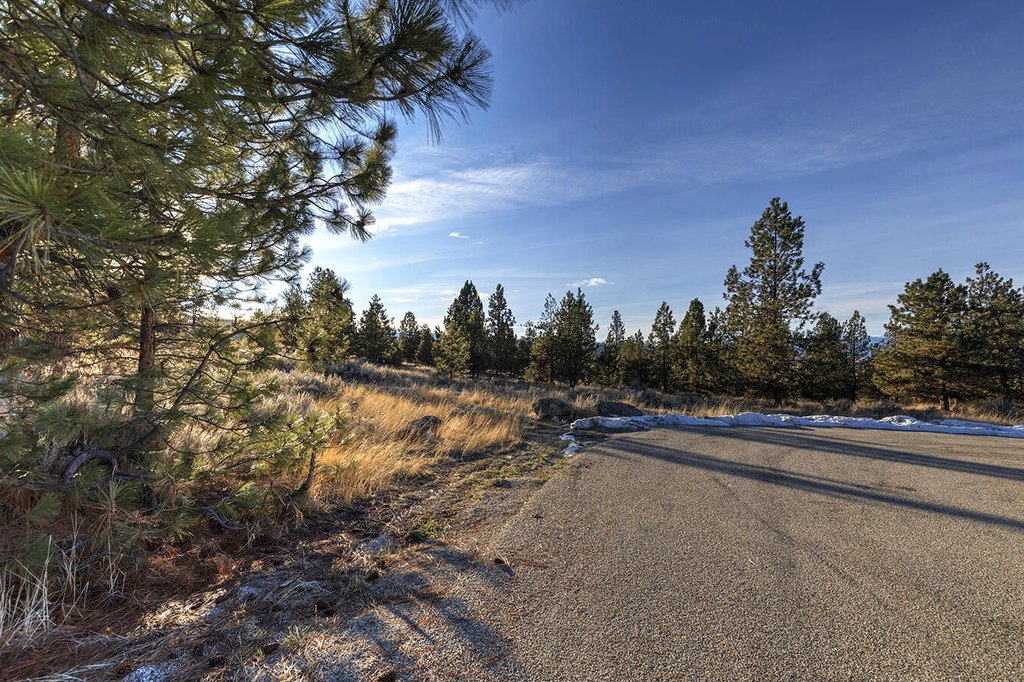 Hamilton, Montana, 59840, United States, ,Land,Forsale,1944331