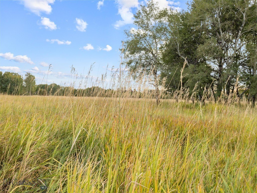 Belgrade, Montana, 59714, United States, ,Land,Forsale,1914999