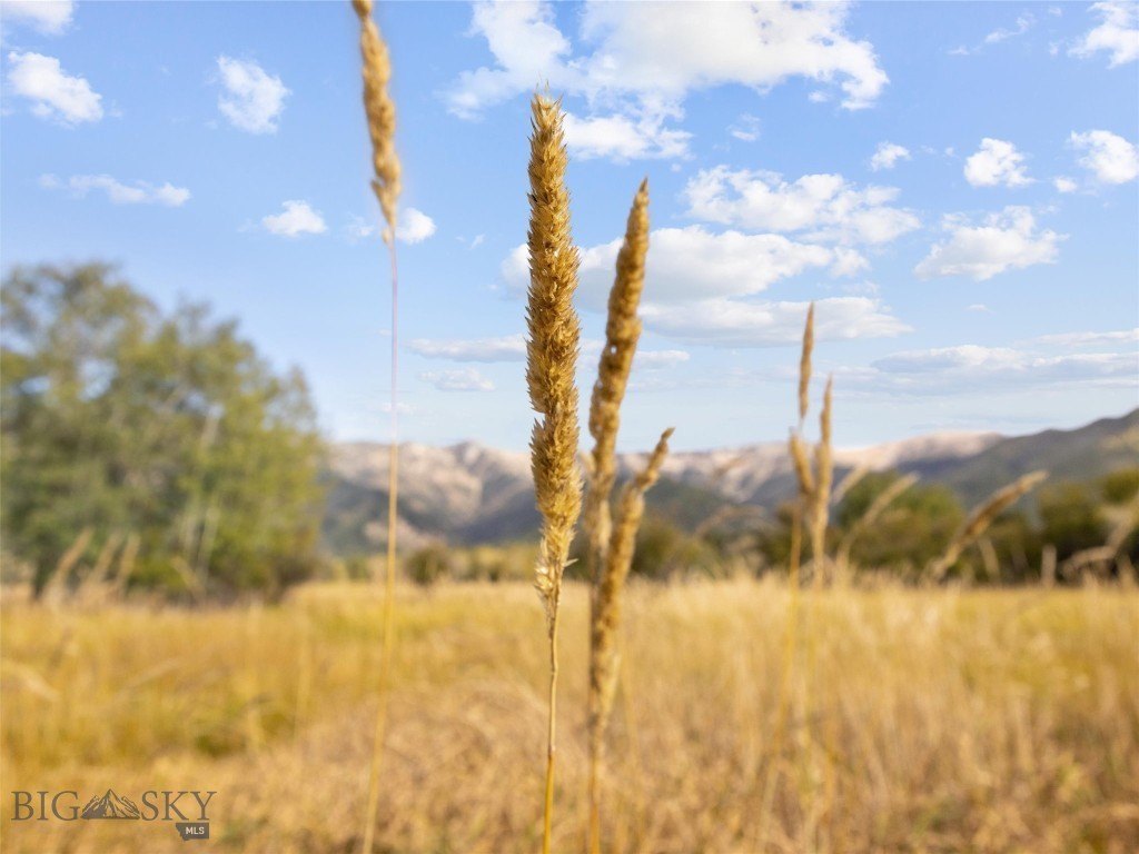 Belgrade, Montana, 59714, United States, ,Land,Forsale,1914999