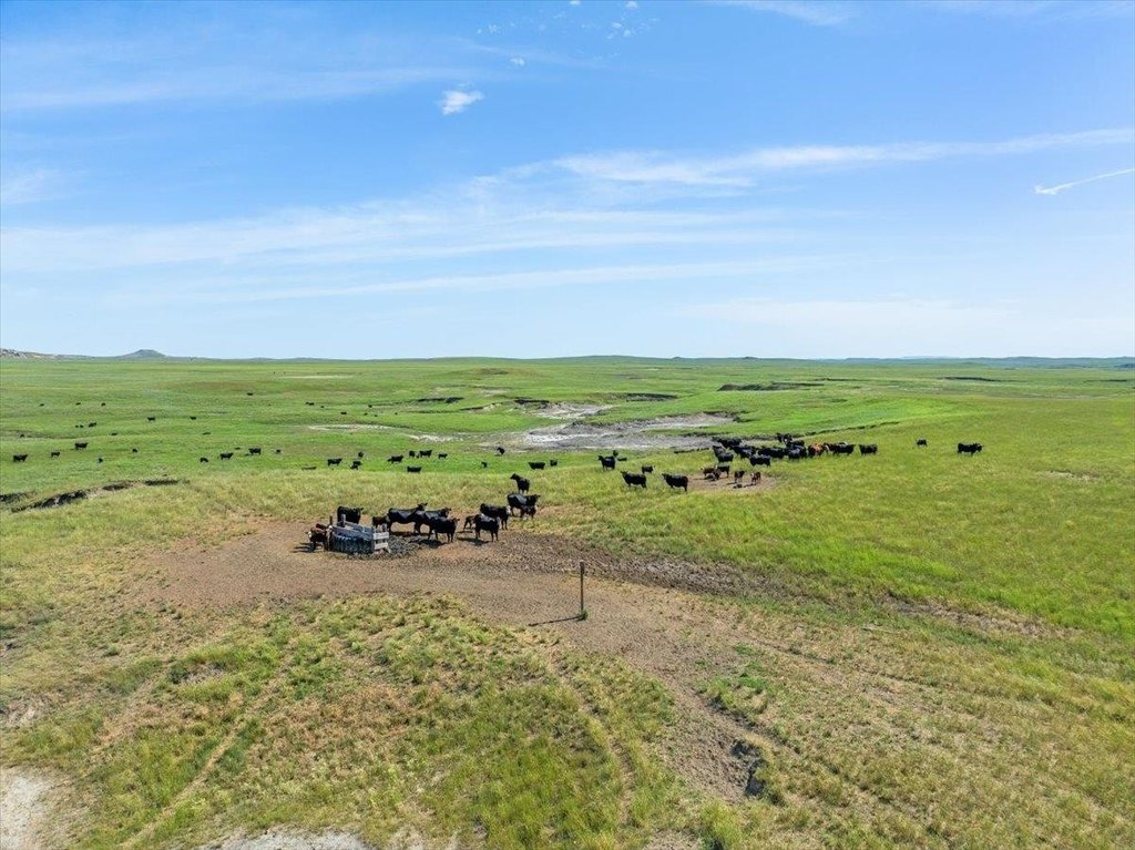 Camp Crook, South Dakota, 57724, United States, ,Residential,Forsale,1918993