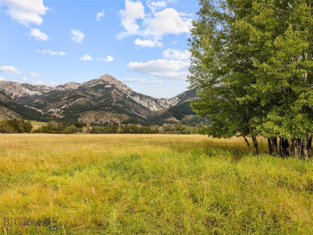 Belgrade, Montana, 59714, United States, ,Land,Forsale,1914999
