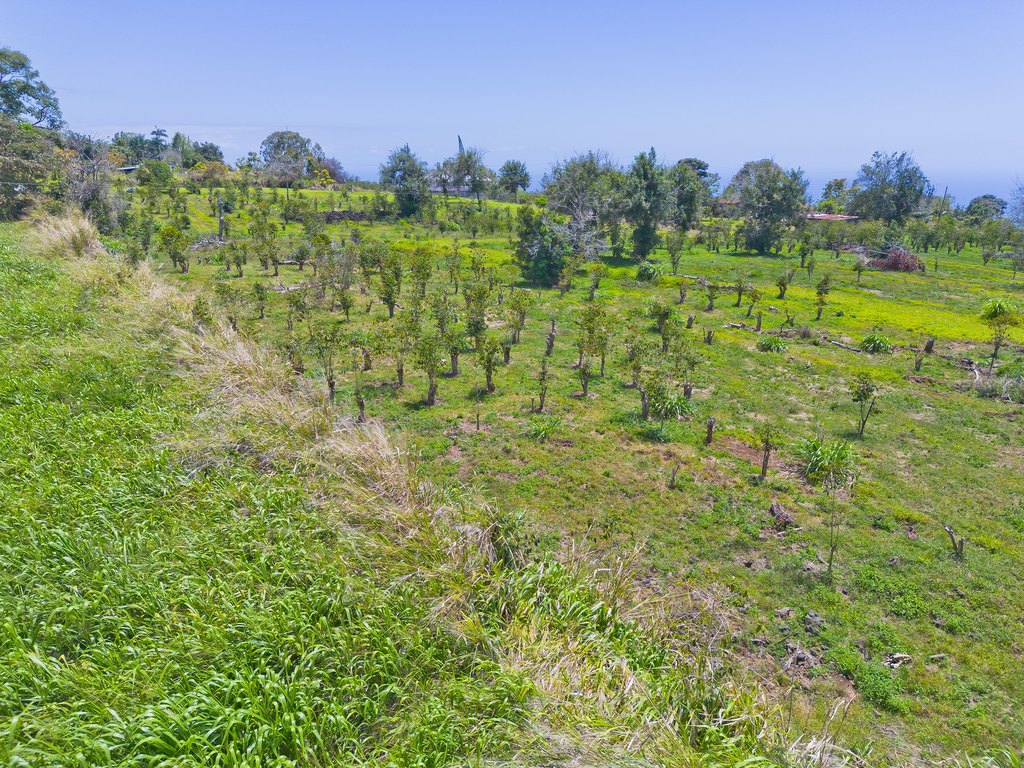 Kealakekua, Hawaii, 96704, United States, ,Land,Forsale,1886592