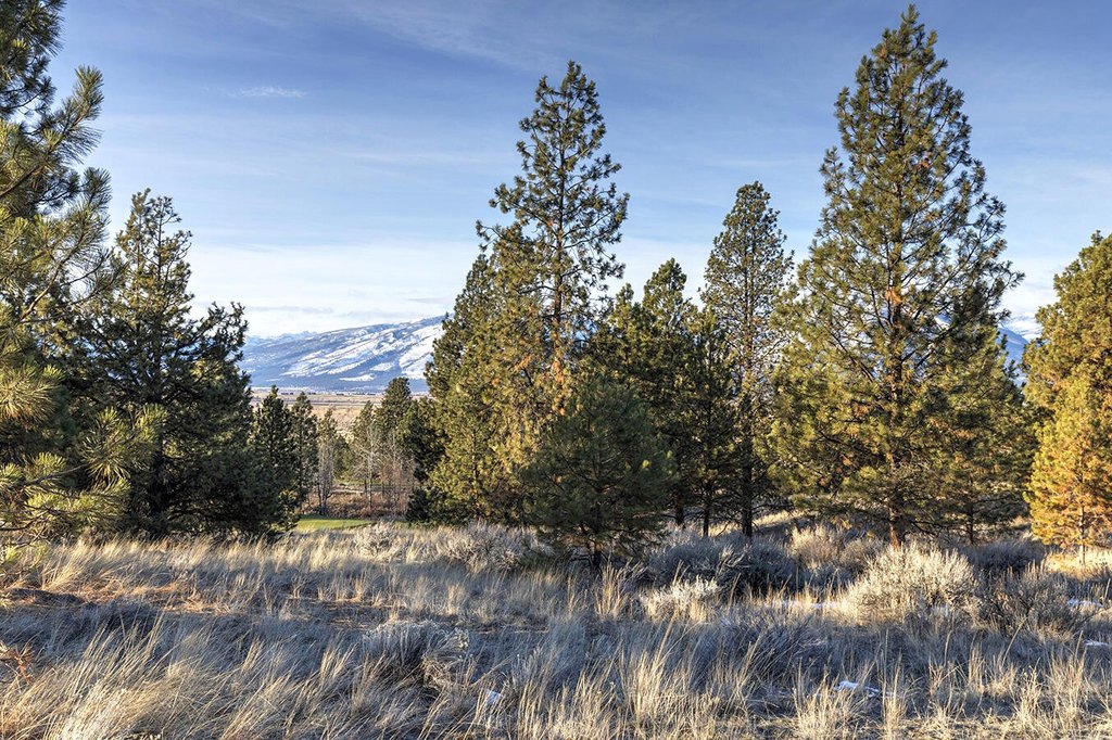 Hamilton, Montana, 59840, United States, ,Land,Forsale,1944331