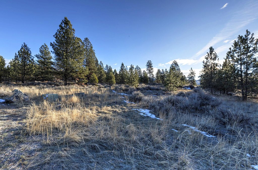 Hamilton, Montana, 59840, United States, ,Land,Forsale,1944331