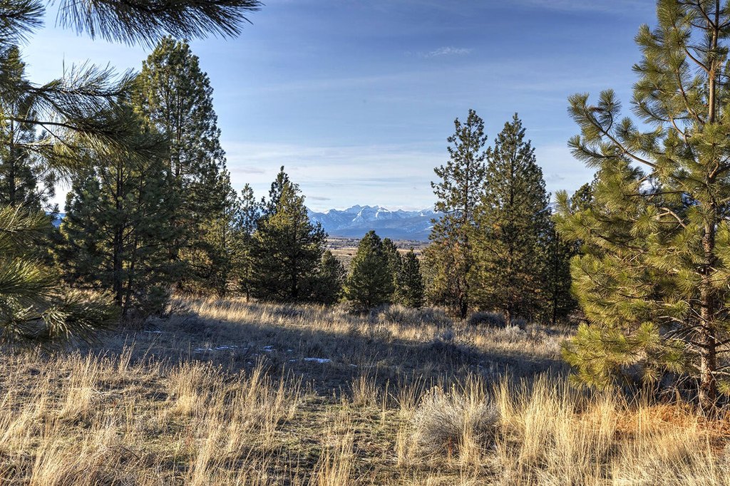 Hamilton, Montana, 59840, United States, ,Land,Forsale,1944331
