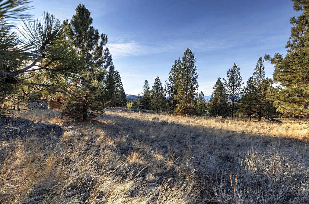 Hamilton, Montana, 59840, United States, ,Land,Forsale,1944331