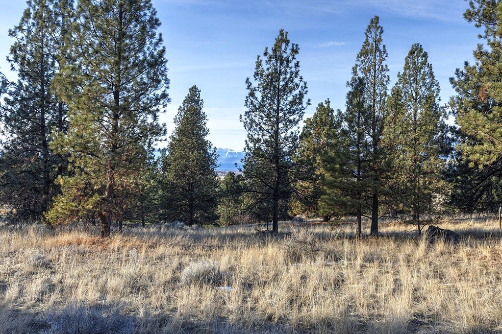 Hamilton, Montana, 59840, United States, ,Land,Forsale,1944331