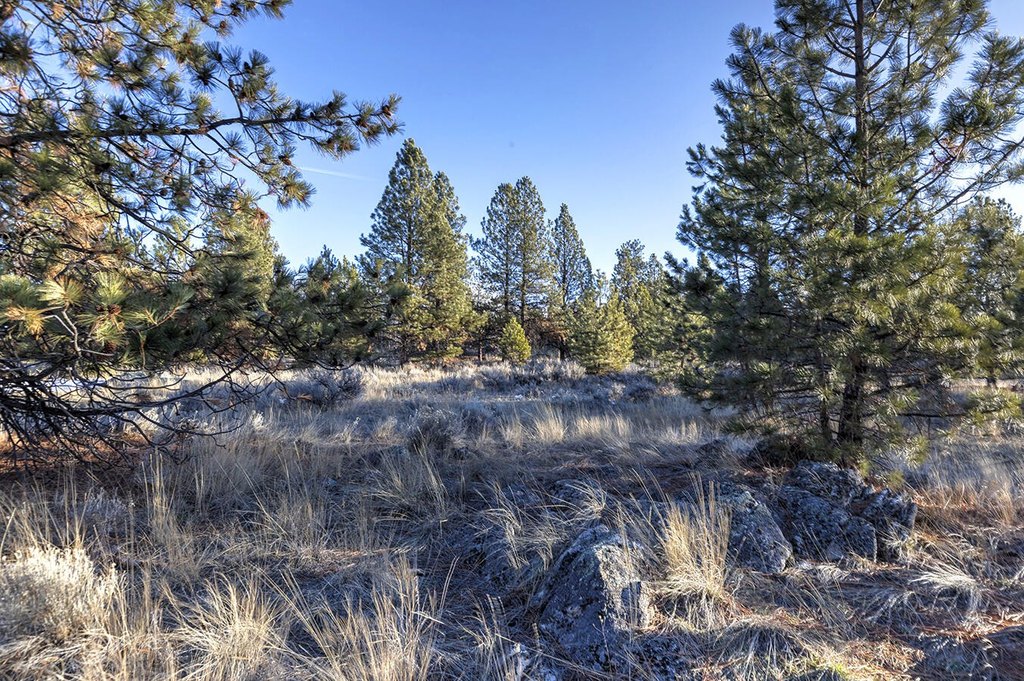 Hamilton, Montana, 59840, United States, ,Land,Forsale,1944331