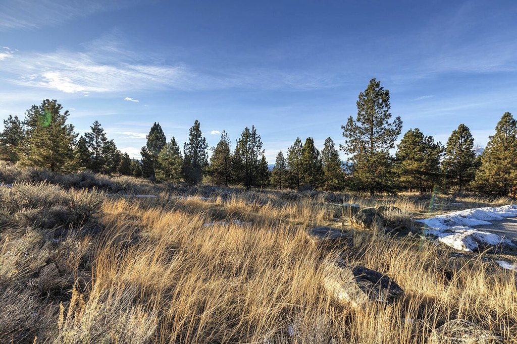 Hamilton, Montana, 59840, United States, ,Land,Forsale,1944331