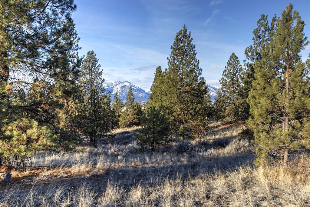 Hamilton, Montana, 59840, United States, ,Land,Forsale,1944331