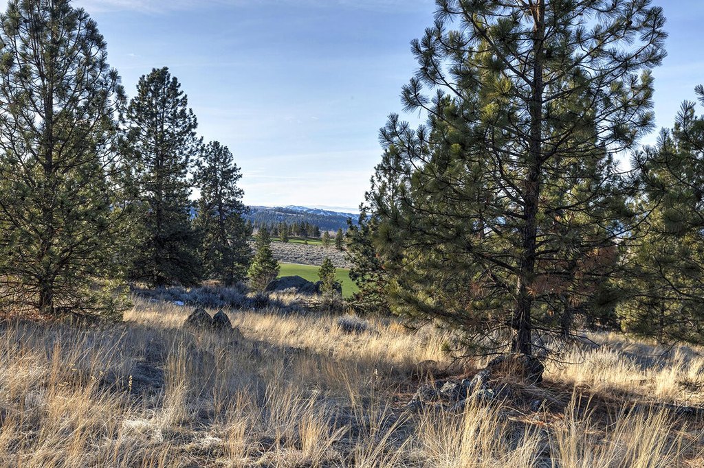 Hamilton, Montana, 59840, United States, ,Land,Forsale,1944331