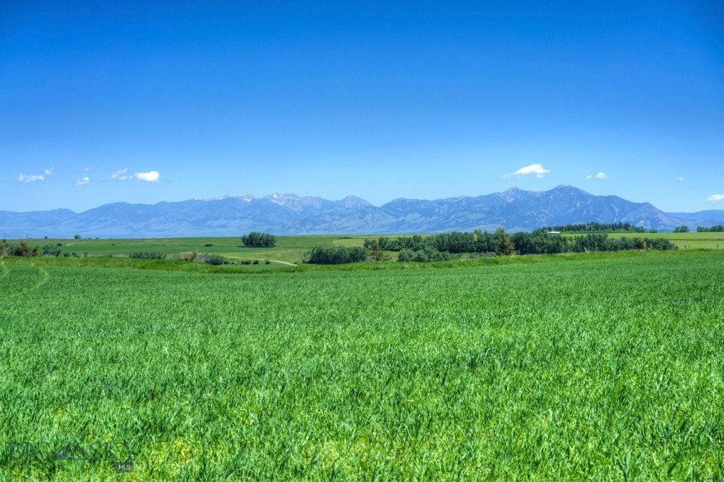 Bozeman, Montana, 59718, United States, ,Land,Forsale,1944293