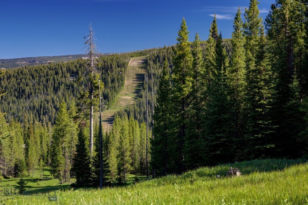 Big Sky, Montana, 59716, United States, ,Land,Forsale,1915010