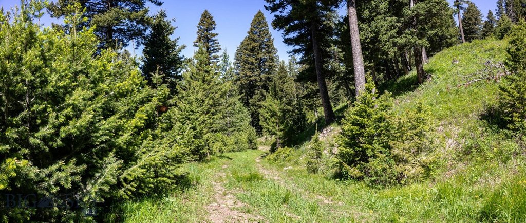 Bozeman, Montana, 59718, United States, ,Land,Forsale,1915001