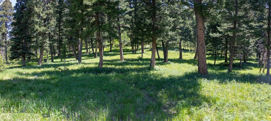 Bozeman, Montana, 59718, United States, ,Land,Forsale,1915001