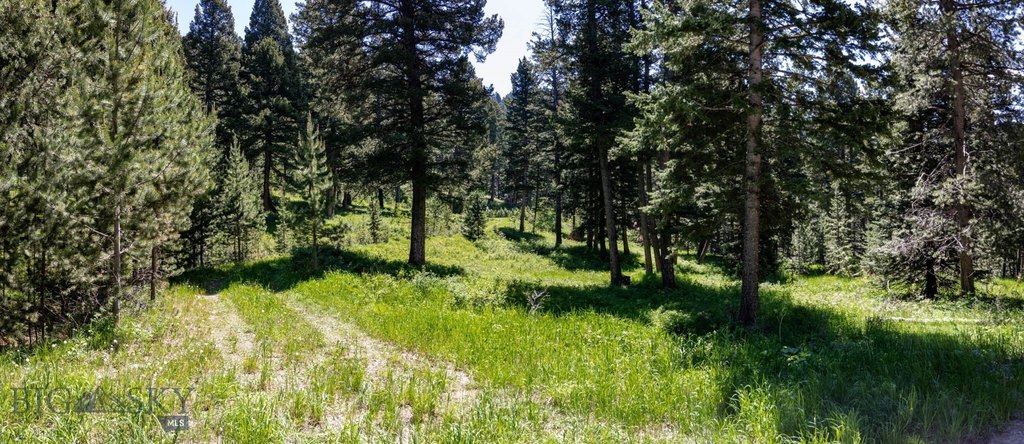 Bozeman, Montana, 59718, United States, ,Land,Forsale,1915001