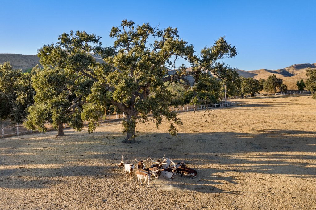 SANTA YNEZ, California, 93460, United States, 52 Bedrooms Bedrooms, ,50.5 BathroomsBathrooms,Residential,Forsale,1883934