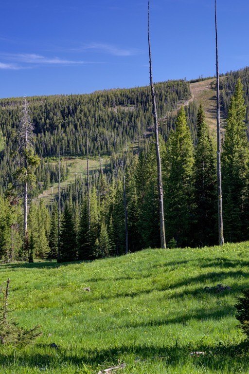 Big Sky, Montana, 59716, United States, ,Land,Forsale,1915010