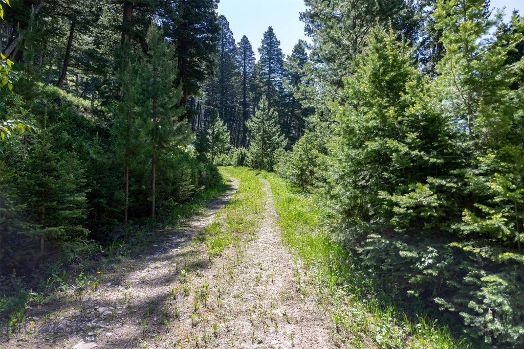 Bozeman, Montana, 59718, United States, ,Land,Forsale,1915001