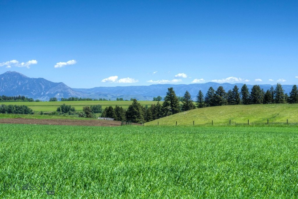 Bozeman, Montana, 59718, United States, ,Land,Forsale,1944293