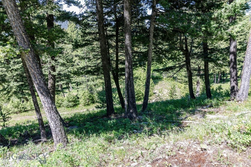 Bozeman, Montana, 59718, United States, ,Land,Forsale,1915001