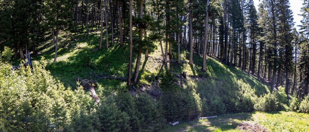 Bozeman, Montana, 59718, United States, ,Land,Forsale,1915001