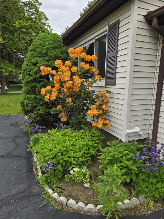 Portsmouth, New Hampshire, 03801, United States, 3 Bedrooms Bedrooms, ,1 BathroomBathrooms,Residential,Forsale,1933939