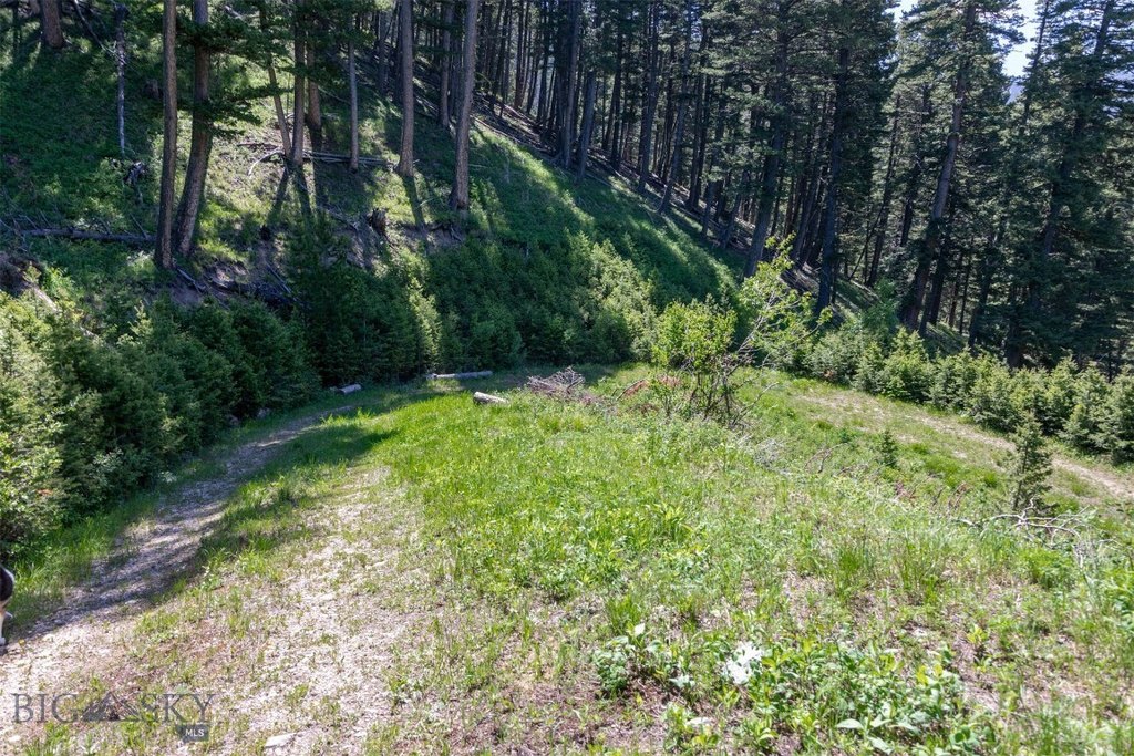 Bozeman, Montana, 59718, United States, ,Land,Forsale,1915001