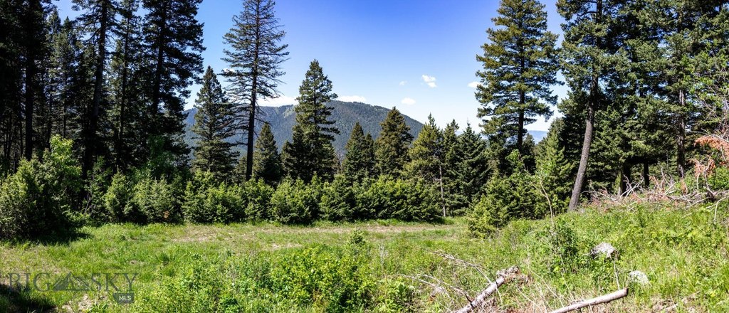 Bozeman, Montana, 59718, United States, ,Land,Forsale,1915001