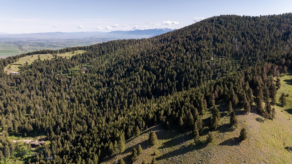 Bozeman, Montana, 59718, United States, ,Land,Forsale,1915001