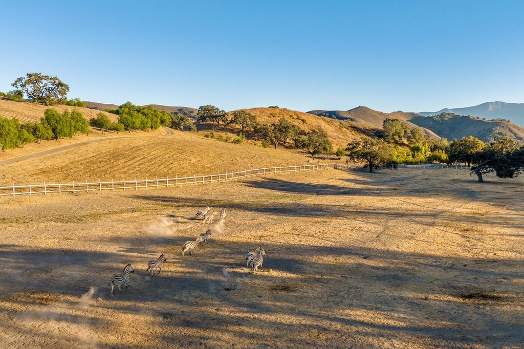 SANTA YNEZ, California, 93460, United States, 52 Bedrooms Bedrooms, ,50.5 BathroomsBathrooms,Residential,Forsale,1883934