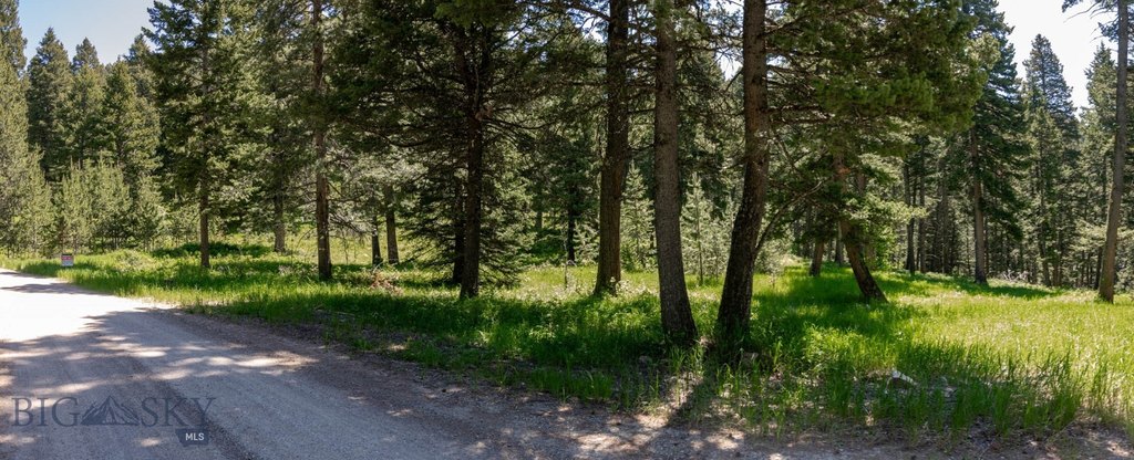 Bozeman, Montana, 59718, United States, ,Land,Forsale,1915001