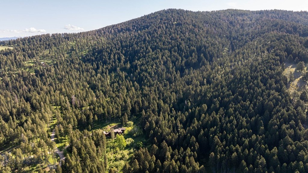 Bozeman, Montana, 59718, United States, ,Land,Forsale,1915001