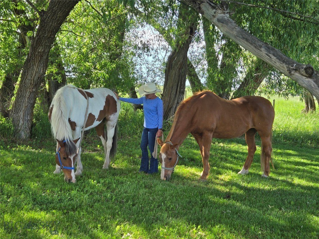 Bozeman, Montana, 59715, United States, 4 Bedrooms Bedrooms, ,2 BathroomsBathrooms,Residential,Forsale,1894913