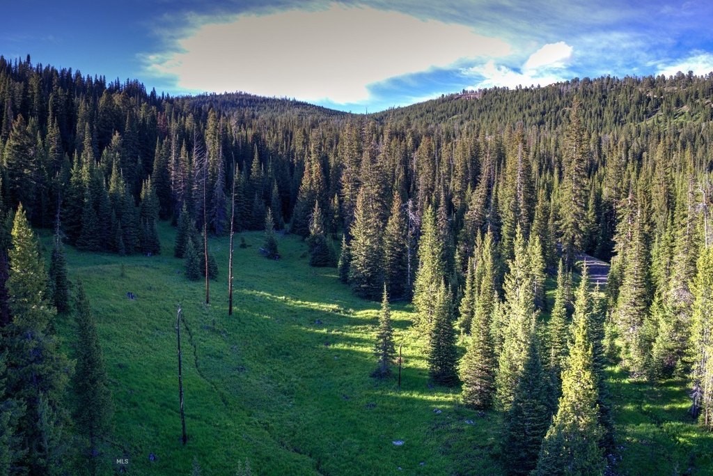 Big Sky, Montana, 59716, United States, ,Land,Forsale,1915010