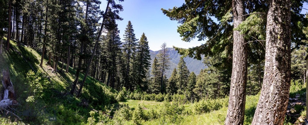 Bozeman, Montana, 59718, United States, ,Land,Forsale,1915001