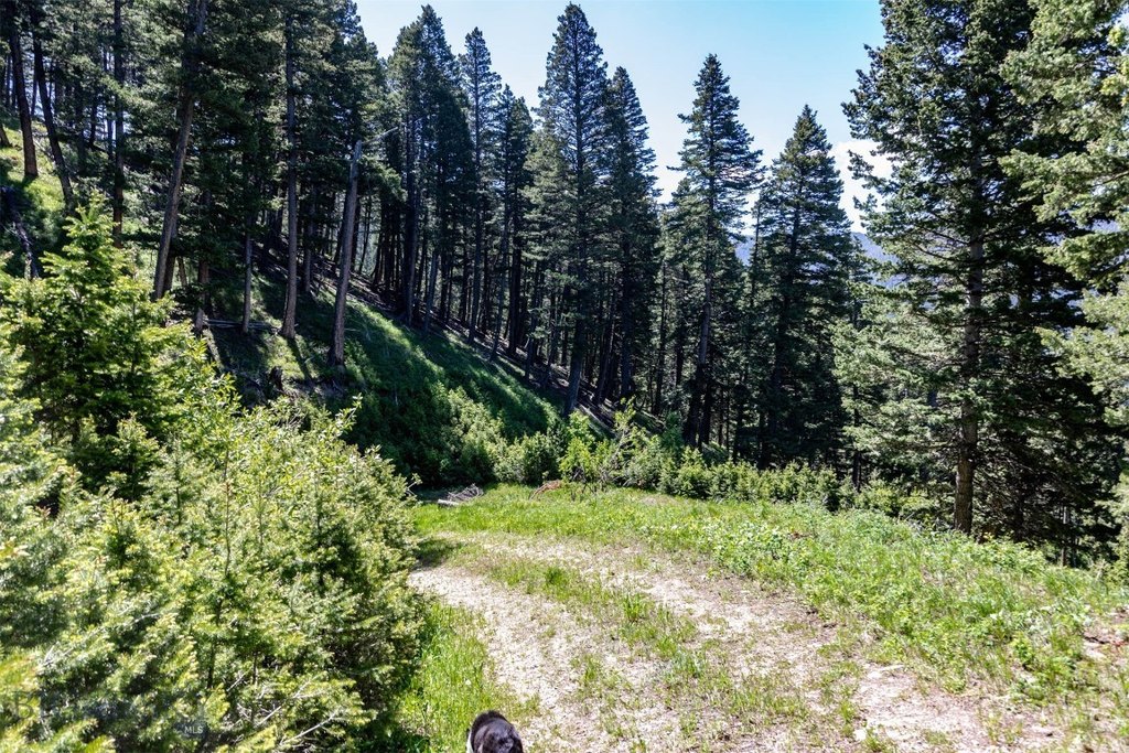 Bozeman, Montana, 59718, United States, ,Land,Forsale,1915001