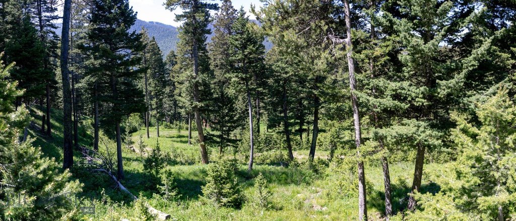 Bozeman, Montana, 59718, United States, ,Land,Forsale,1915001