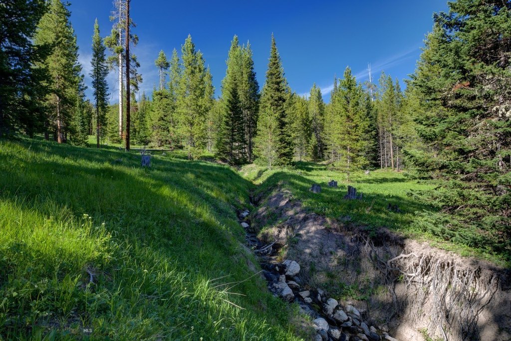 Big Sky, Montana, 59716, United States, ,Land,Forsale,1915010