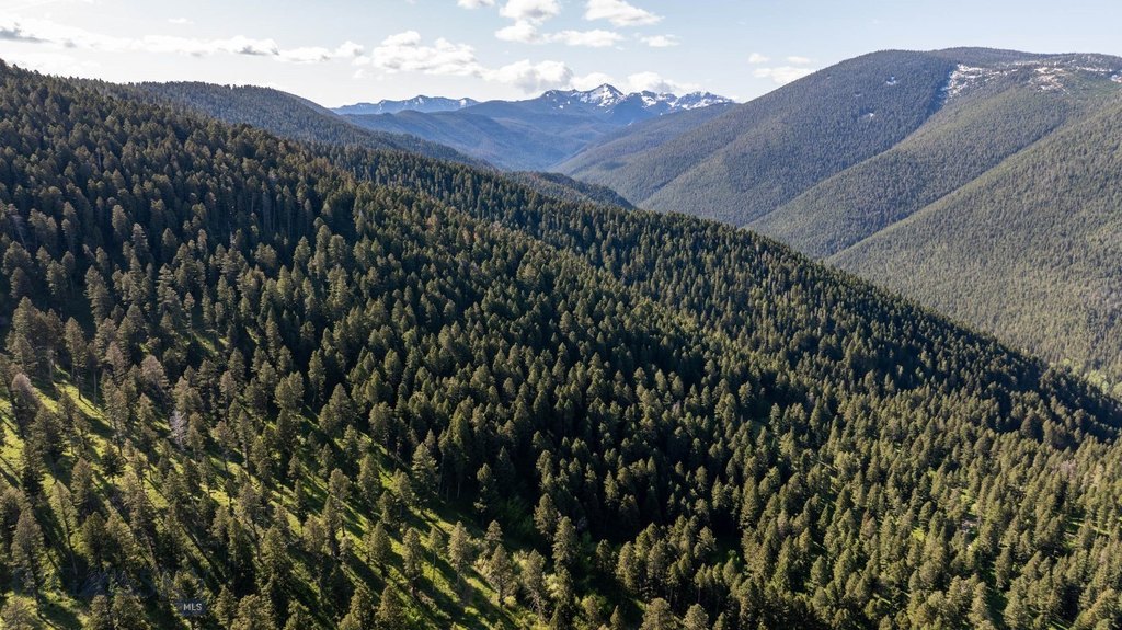 Bozeman, Montana, 59718, United States, ,Land,Forsale,1915001