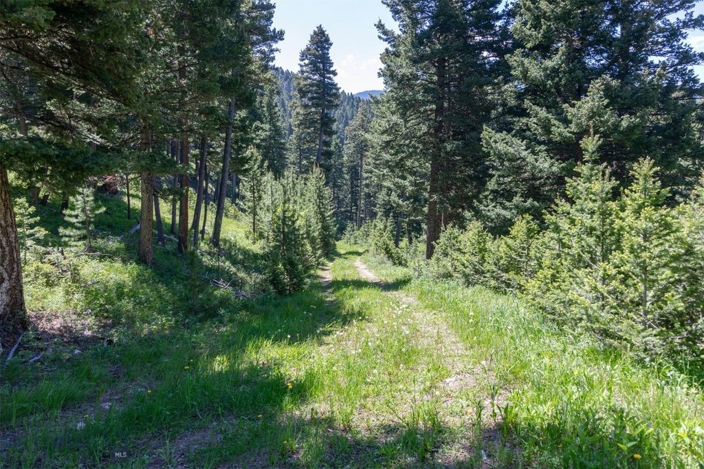 Bozeman, Montana, 59718, United States, ,Land,Forsale,1915001
