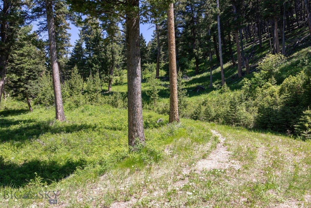 Bozeman, Montana, 59718, United States, ,Land,Forsale,1915001