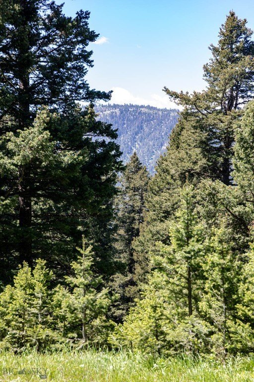 Bozeman, Montana, 59718, United States, ,Land,Forsale,1915001