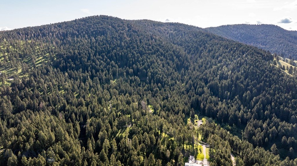 Bozeman, Montana, 59718, United States, ,Land,Forsale,1915001