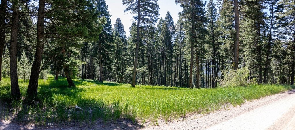 Bozeman, Montana, 59718, United States, ,Land,Forsale,1915001