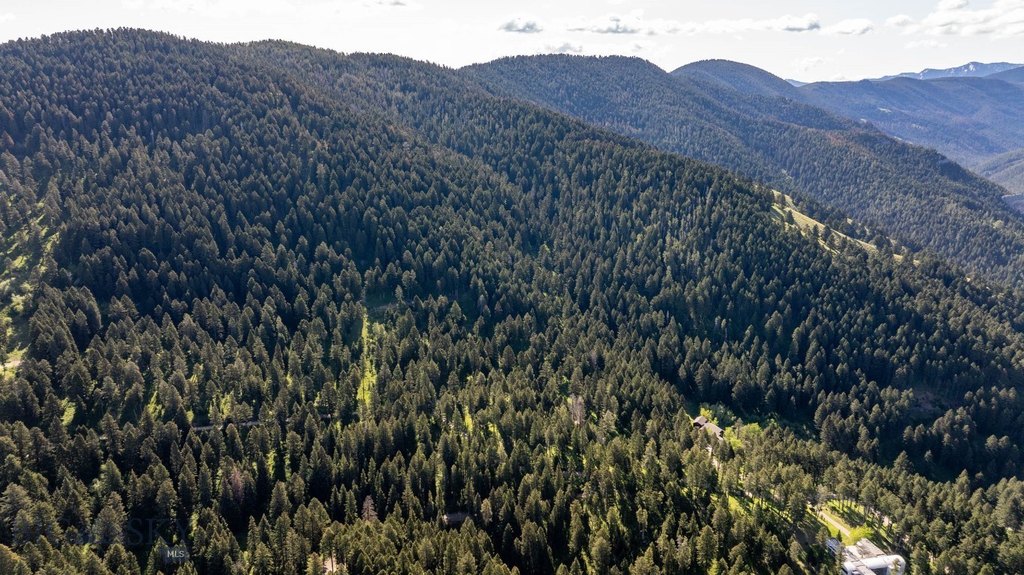 Bozeman, Montana, 59718, United States, ,Land,Forsale,1915001