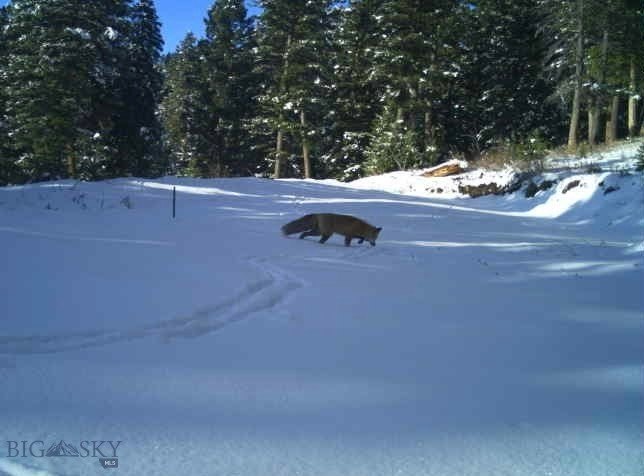 Bozeman, Montana, 59718, United States, ,Land,Forsale,1915001