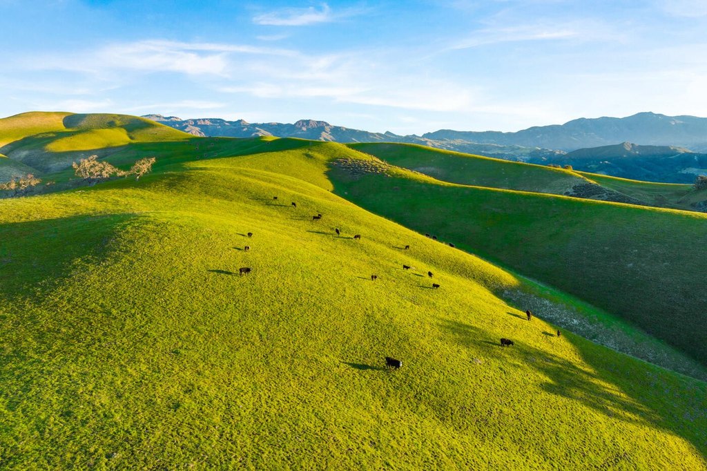 SANTA YNEZ, California, 93460, United States, 52 Bedrooms Bedrooms, ,50.5 BathroomsBathrooms,Residential,Forsale,1883934